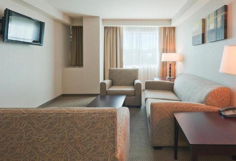 سوئیت با تخت بزرگ, Crowne Plaza Leon, An Ihg