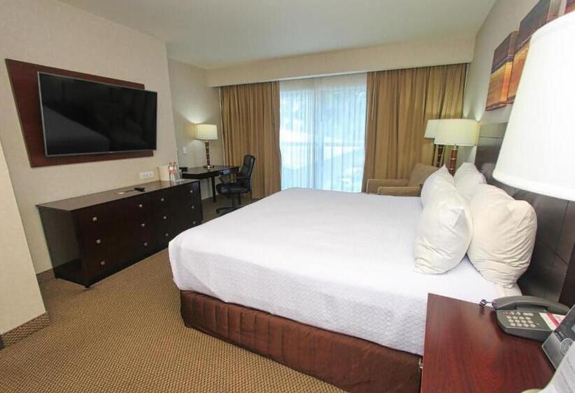 سوئیت با تخت بزرگ, Crowne Plaza Leon, An Ihg