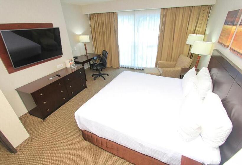 سوئیت با تخت بزرگ, Crowne Plaza Leon, An Ihg