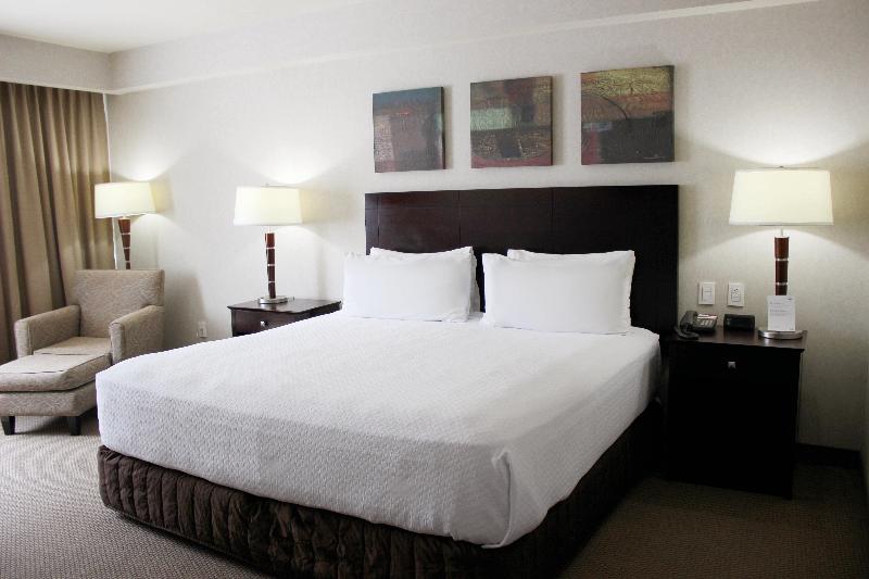 سوئیت با تخت بزرگ, Crowne Plaza Leon, An Ihg