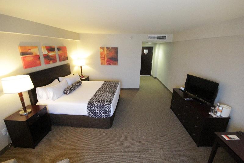 اتاق استاندارد با تخت بزرگ, Crowne Plaza Leon, An Ihg