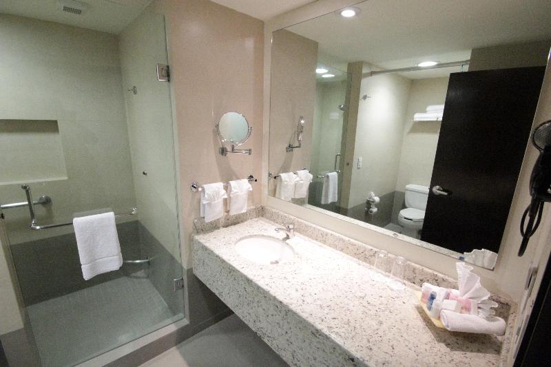 اتاق استاندارد با تخت بزرگ, Crowne Plaza Leon, An Ihg