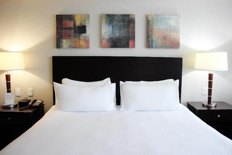 اتاق استاندارد با تخت بزرگ, Crowne Plaza Leon, An Ihg