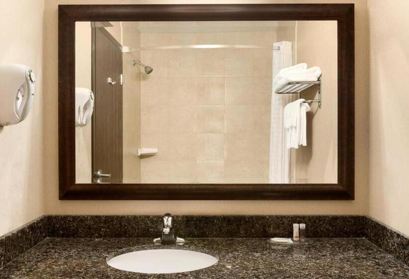 스위트 킹사이즈 침대, Days Inn By Wyndham Innisfail