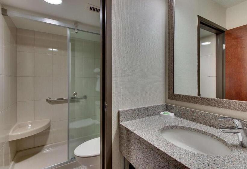 带大床的豪华间, Pear Tree Inn St Louis Airport