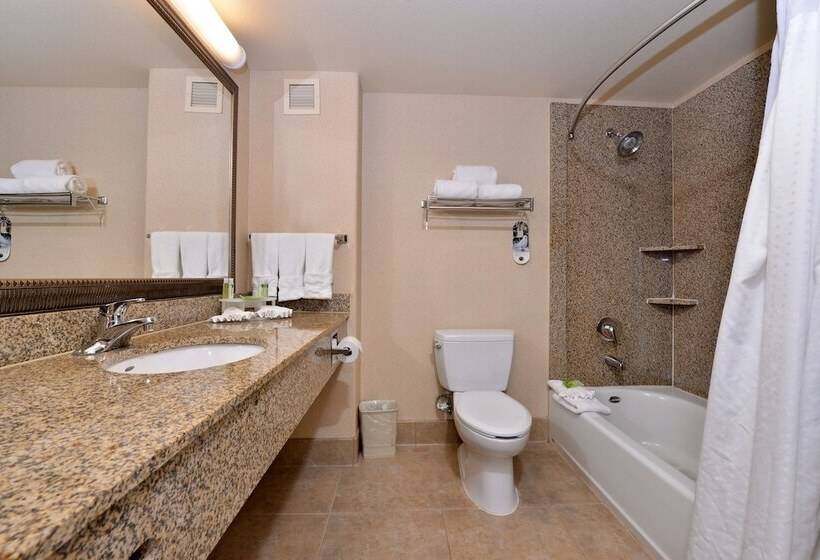 스탠다드 룸, Holiday Inn Express Hotel & Suites Lincoln By Ihg