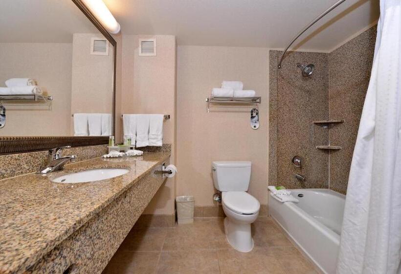 스탠다드 룸 킹사이즈 침대, Holiday Inn Express Hotel & Suites Lincoln By Ihg