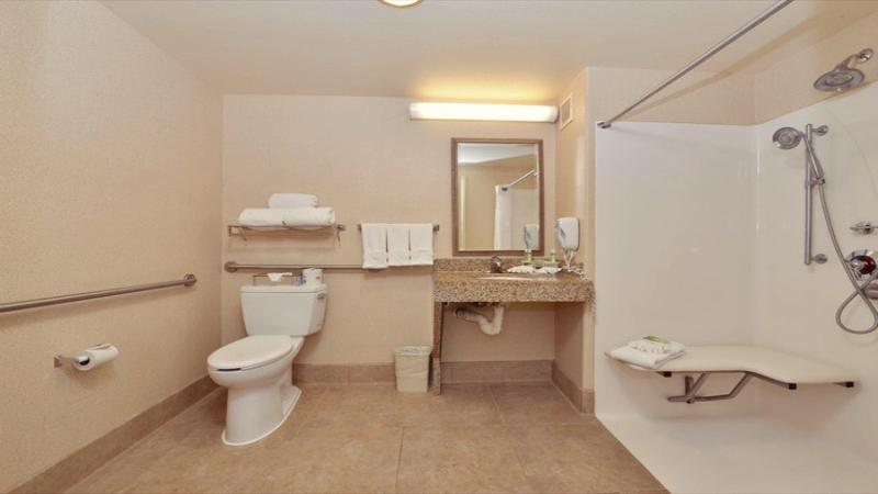 스탠다드 룸 킹사이즈 침대, Holiday Inn Express Hotel & Suites Lincoln By Ihg