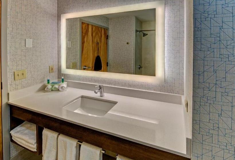 스탠다드 룸 킹사이즈 침대, Holiday Inn Express Hotel & Suites London, An Ihg