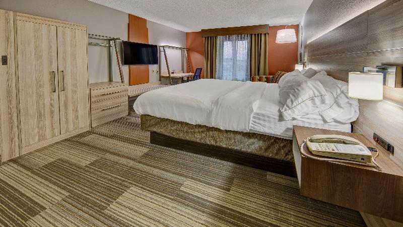 장애인을 위한 킹사이즈 침대 스탠다드 룸, Holiday Inn Express Hotel & Suites London, An Ihg