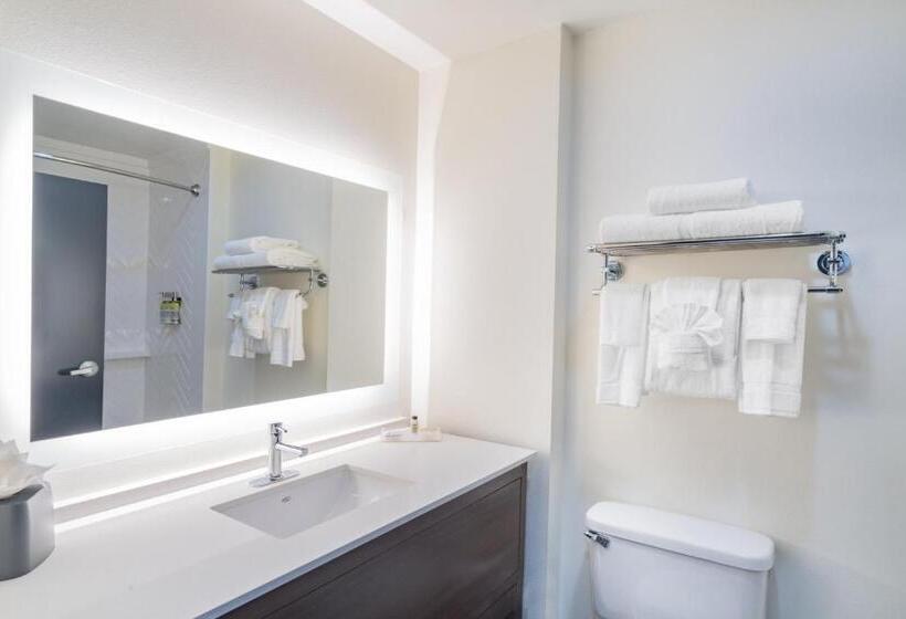 Номер Executive Кровать Кинг, Holiday Inn Southaven Central   Memphis, An Ihg