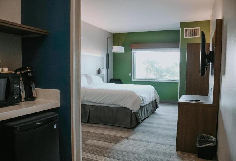 스탠다드 룸 킹사이즈 침대, Holiday Inn Express Hotel & Suites Lincoln South, An Ihg