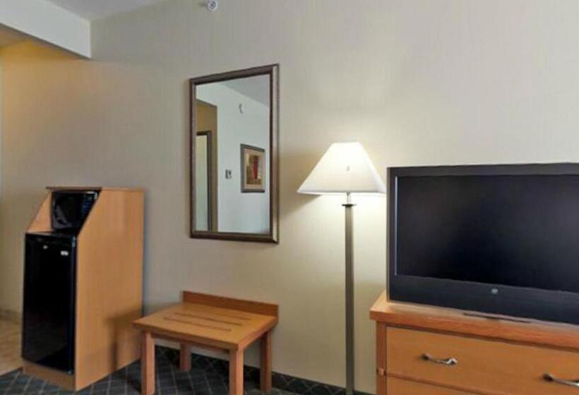 스탠다드 룸 킹사이즈 침대, Holiday Inn Express Hotel & Suites Lincoln South, An Ihg