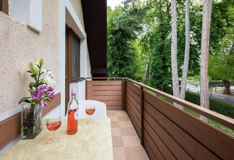 Трехместный Номер Стандарт с Балконом, Solero