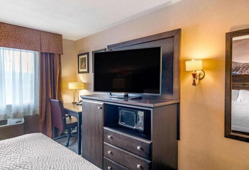 اتاق استاندارد با تخت بزرگ, Clarion Pointe Medford