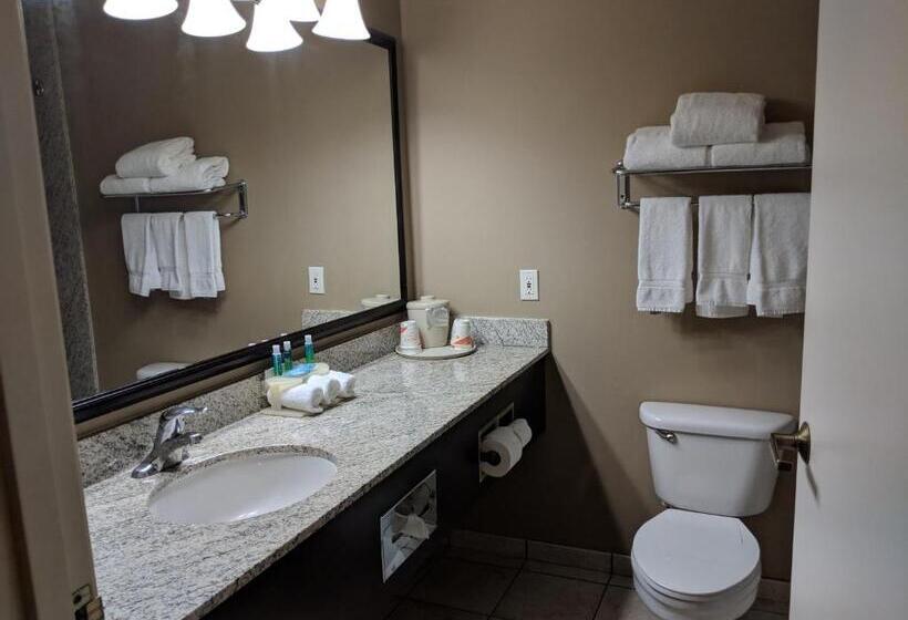 اتاق استاندارد, Clarion Pointe Medford