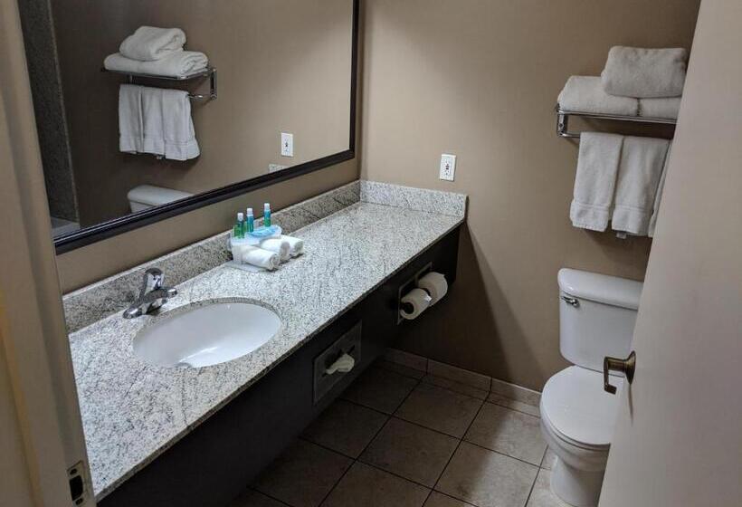 سوئیت با تخت بزرگ, Clarion Pointe Medford