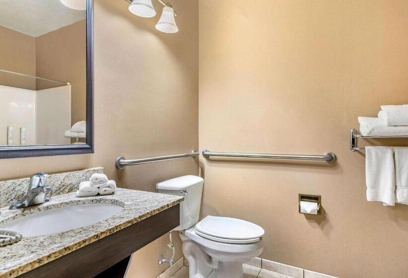 سوئیت با تخت بزرگ, Clarion Pointe Medford