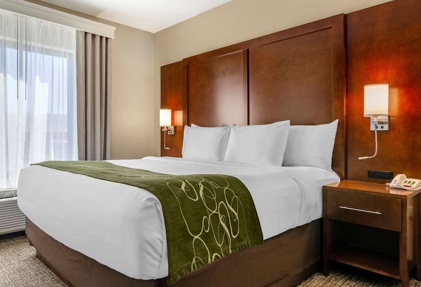자쿠지 스위트, Comfort Suites Helena Airport