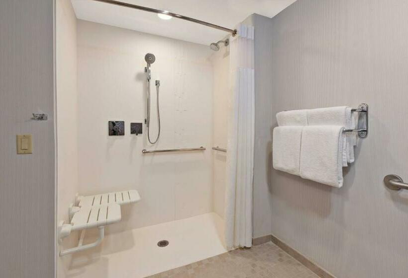 اتاق استاندارد با تخت بزرگ, Courtyard By Marriott Oklahoma City Downtown