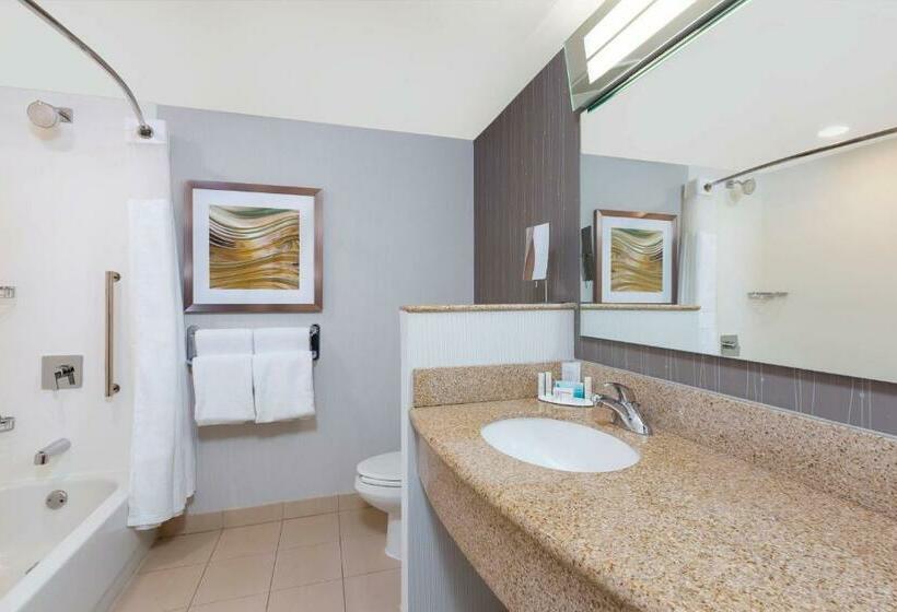 اتاق استاندارد با تخت بزرگ, Courtyard By Marriott Oklahoma City Downtown