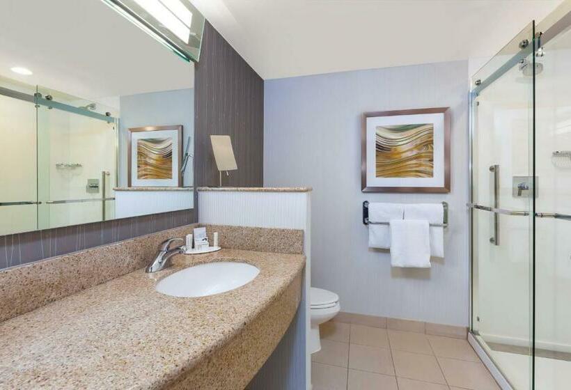 اتاق استاندارد با تخت بزرگ, Courtyard By Marriott Oklahoma City Downtown
