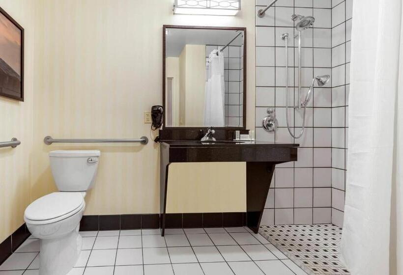 Deluxe Room Adapted for Disabled, Fairfield Inn & Suites By Marriott Rockford