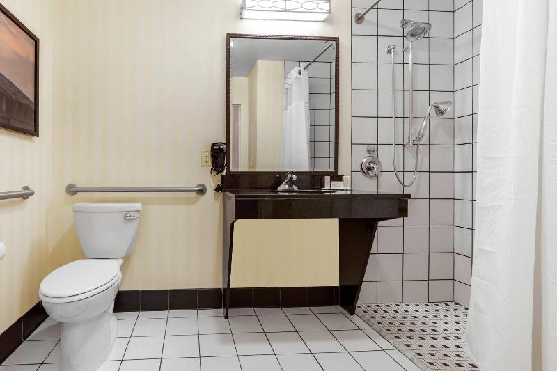 Pokój Standard Łóżko King Size, Fairfield Inn & Suites By Marriott Rockford