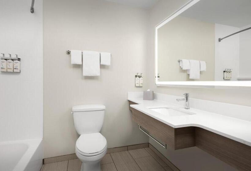 Люкс, Holiday Inn Express Hotel & Suites Greensboro   Airport Area, An Ihg