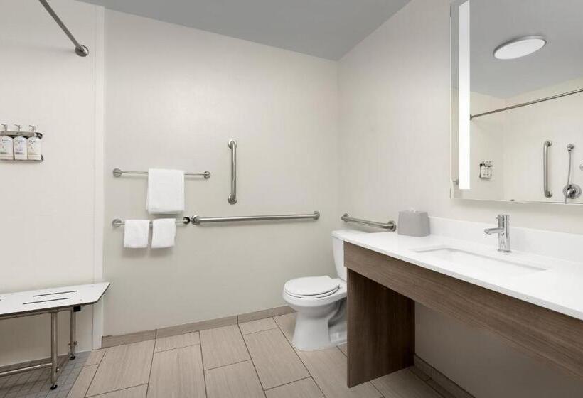 Номер Стандарт Кровать Кинг Адаптированный для Инвалидов, Holiday Inn Express Hotel & Suites Greensboro   Airport Area, An Ihg