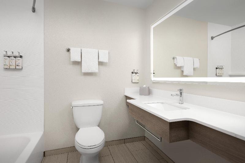 Люкс Кровать Кинг, Holiday Inn Express Hotel & Suites Greensboro   Airport Area, An Ihg