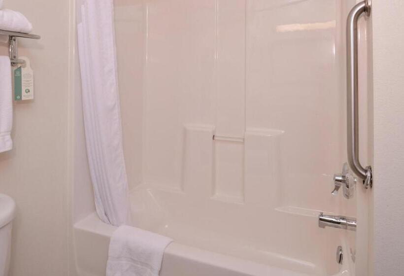 اتاق استاندارد با تخت بزرگ, Holiday Inn Express Hotel & Suites Lancaster Lititz, An Ihg