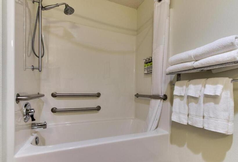اتاق استاندارد با تخت بزرگ برای معلولان, Holiday Inn Express Hotel & Suites Lancaster Lititz, An Ihg