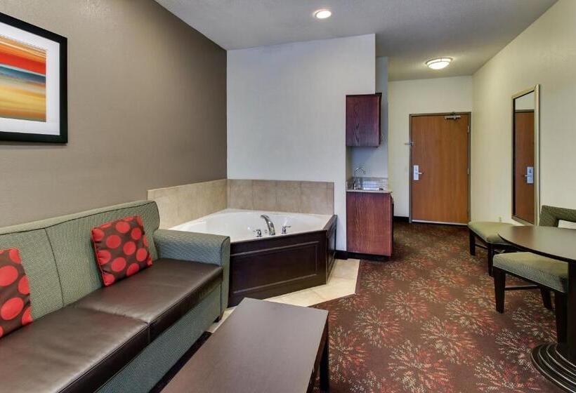 سوئیت با تخت بزرگ, Holiday Inn Express Hotel & Suites Lancaster Lititz, An Ihg