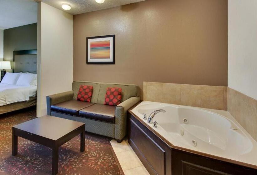 سوئیت با تخت بزرگ, Holiday Inn Express Hotel & Suites Lancaster Lititz, An Ihg