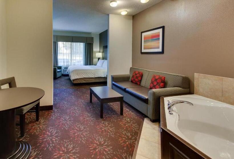 سوئیت با تخت بزرگ, Holiday Inn Express Hotel & Suites Lancaster Lititz, An Ihg