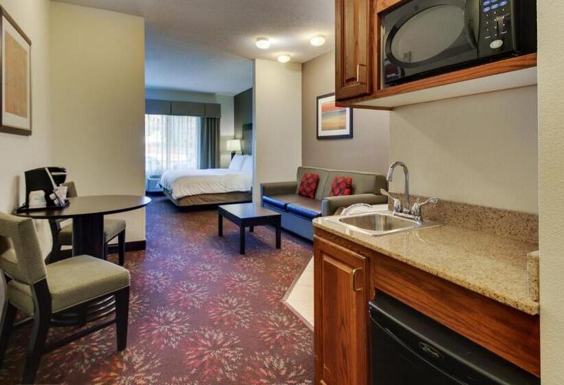 سوئیت با تخت بزرگ, Holiday Inn Express Hotel & Suites Lancaster Lititz, An Ihg
