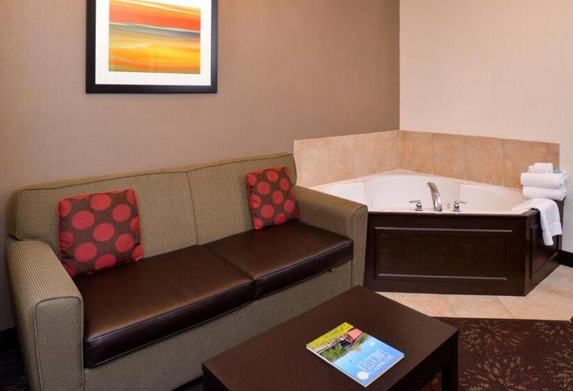 سوئیت با تخت بزرگ, Holiday Inn Express Hotel & Suites Lancaster Lititz, An Ihg