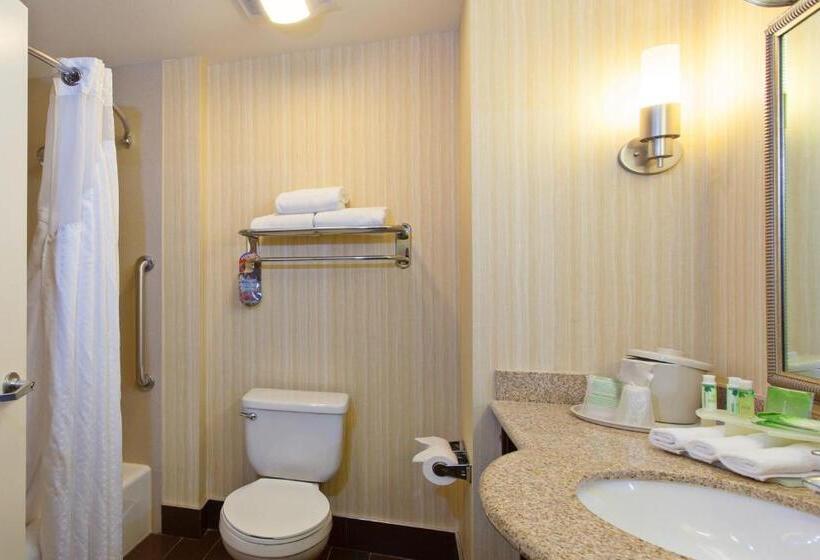 اتاق استاندارد با تخت بزرگ, Holiday Inn Express & Suites Midland Loop 250, An Ihg