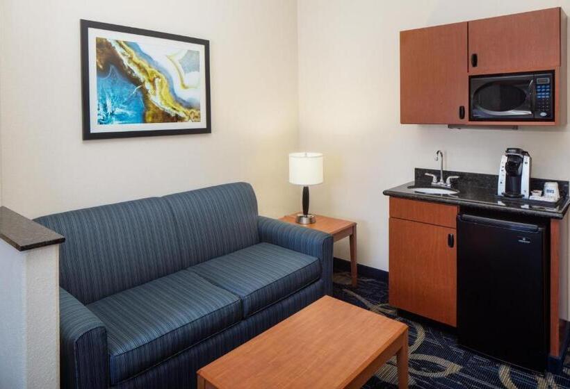 سوئیت برای معلولان, Holiday Inn Express & Suites Midland Loop 250, An Ihg