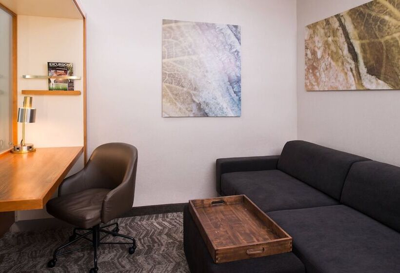 스위트, Springhill Suites By Marriott Huntsville Downtown