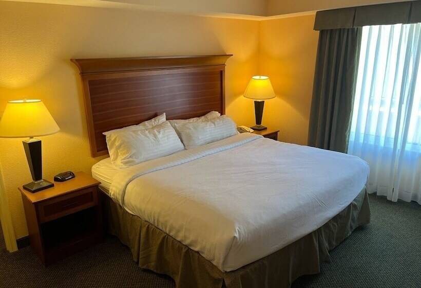 Люкс, Wyndham Garden Otsegominneapolis