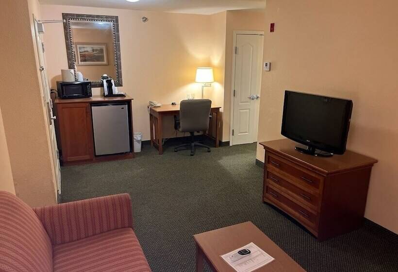 Люкс Адаптированный для Инвалидов, Wyndham Garden Otsegominneapolis