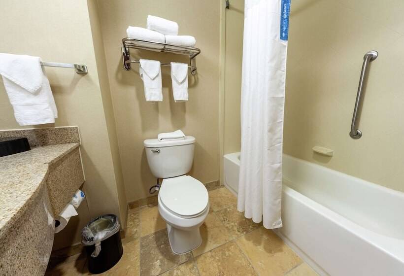 Номер Стандарт 2 Двуспальные Кровати, Hampton Inn Martinsburg Southinwood