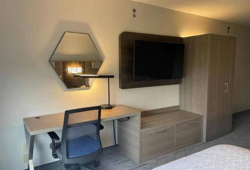 장애인을 위한 스탠다드 룸, Holiday Inn Express Lapeer, An Ihg