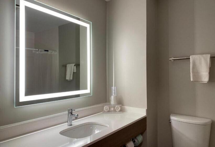 标准间, Holiday Inn Express Plymouth, An Ihg