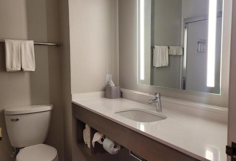 带大床的标准间, Holiday Inn Express Plymouth, An Ihg