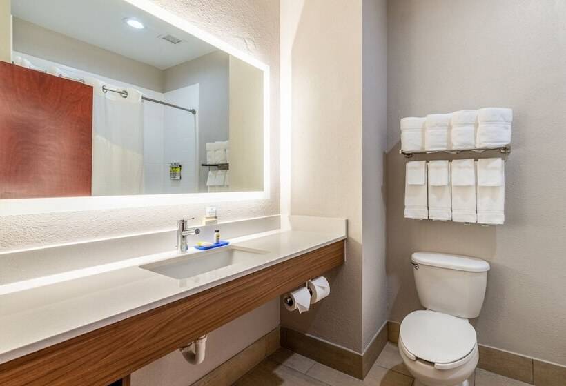 Номер Стандарт, Holiday Inn Express Hotel And Suites Statesville By Ihg