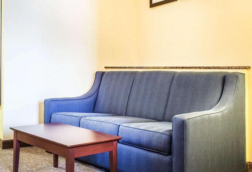キングサイズベッドのスイートルーム, Comfort Suites Rock Hill Manchester Meadows Area