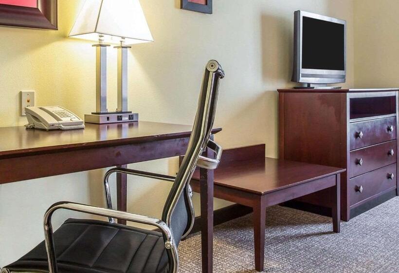 スイート, Comfort Suites Rock Hill Manchester Meadows Area